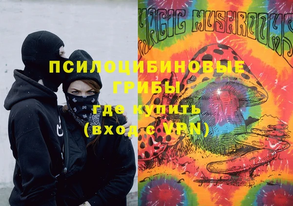 apvp Пестово