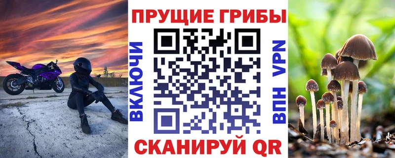 Псилоцибиновые грибы мицелий  нарко площадка телеграм  Тотьма  купить  сайты 